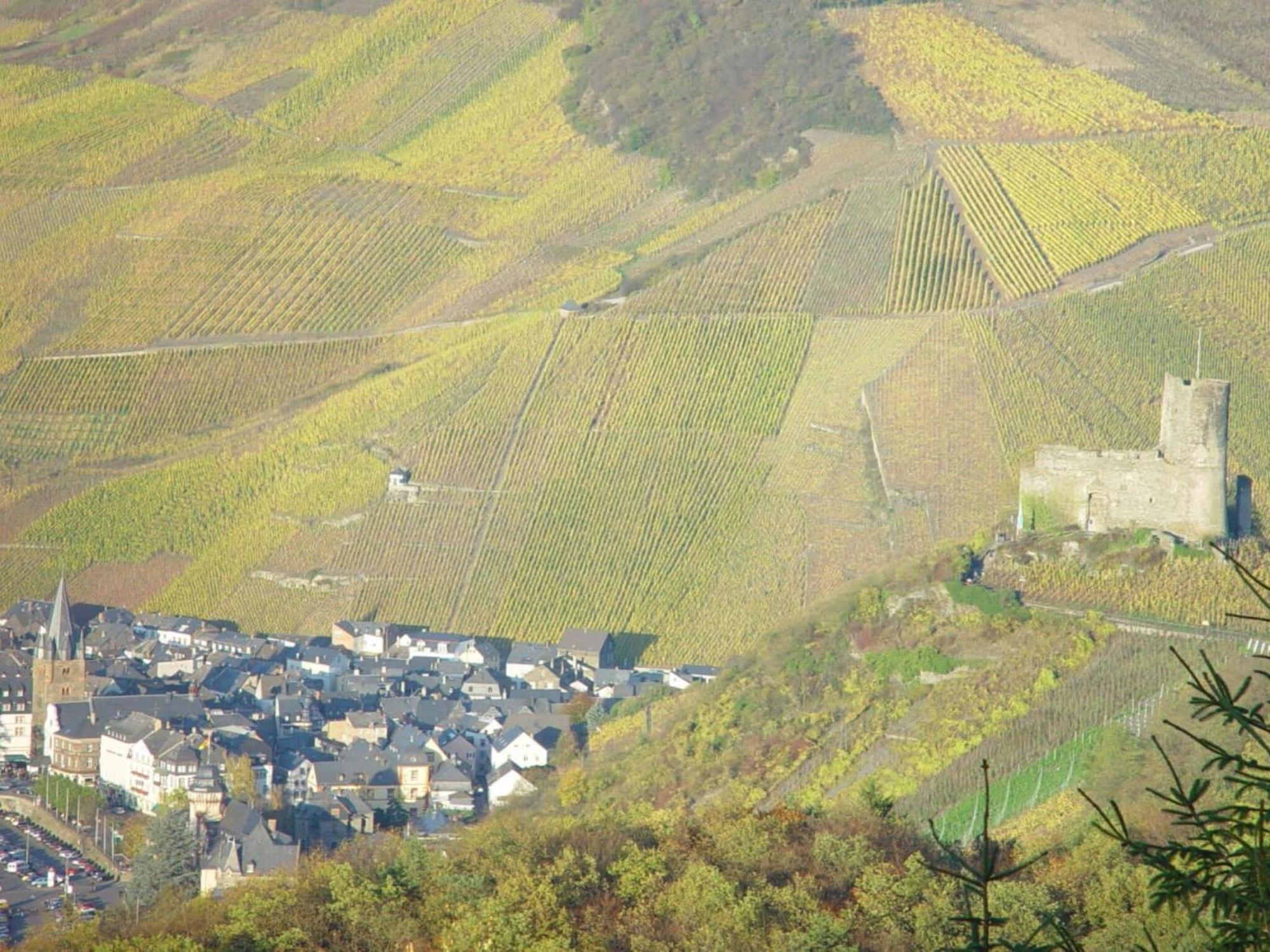 Anton Zimmermann Winery Apartment Bernkastel-Kues Exterior photo