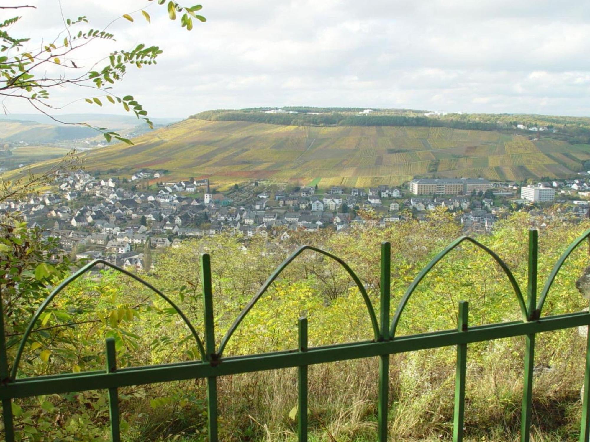 Anton Zimmermann Winery Apartment Bernkastel-Kues Exterior photo